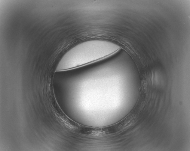 X0000061720458200512021047