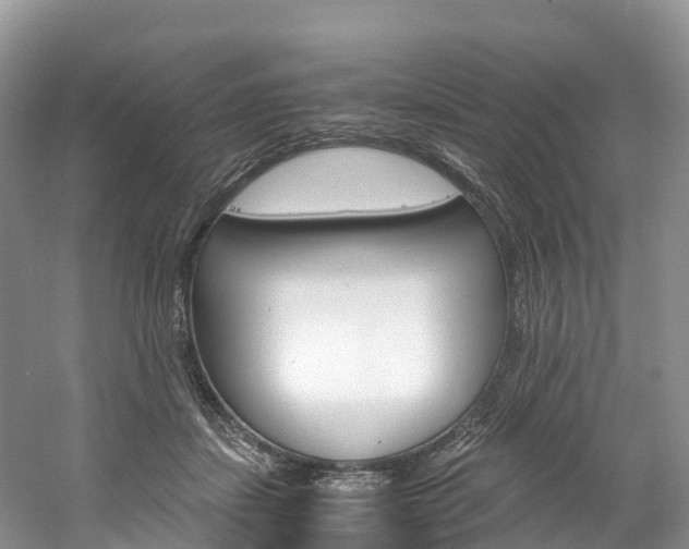 X0000061720459200512021047