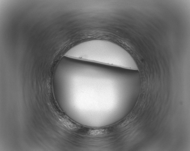 X0000061720461200512021047