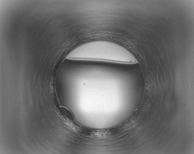 X0000061720466200512021047