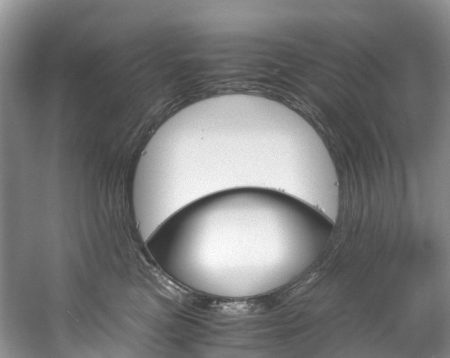 X0000061720473200512021047