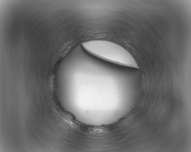 X0000061720475200512021047