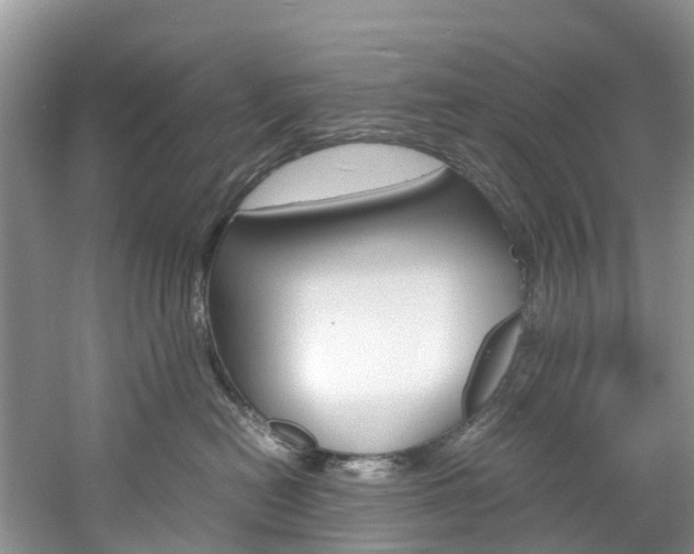 X0000061720478200512021047