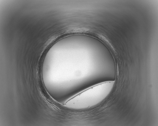 X0000061720483200512021046