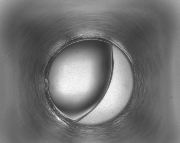 X0000061720485200512021046