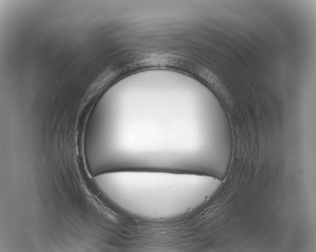 X0000061720486200512021046
