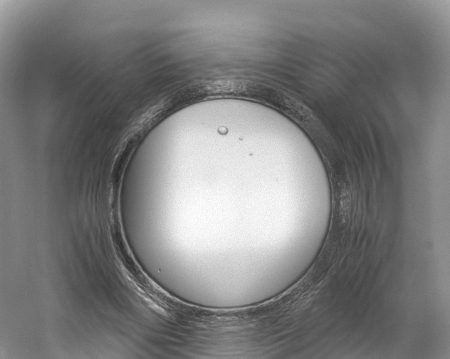 X0000061720490200512021046