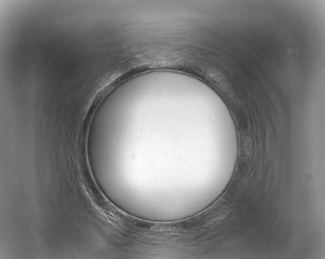 X0000061720491200512021046