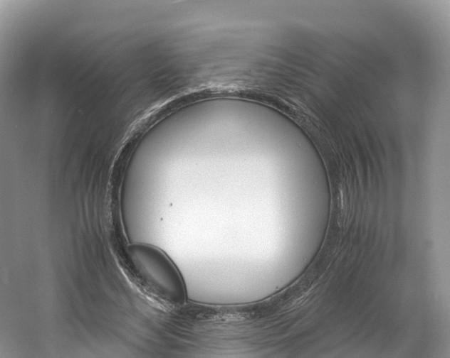 X0000061720492200512021046