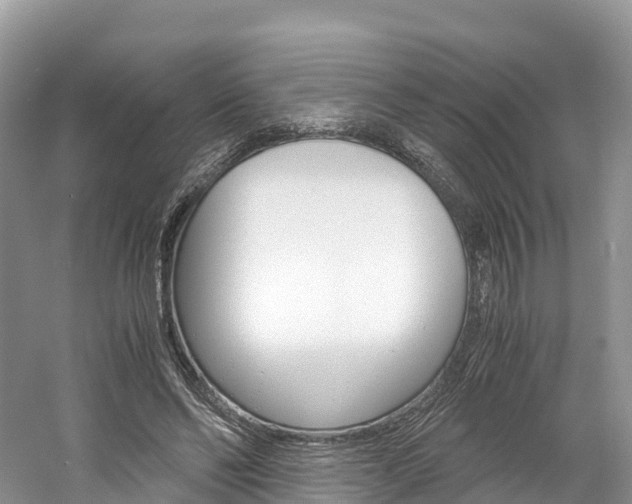 X0000061720494200512021046