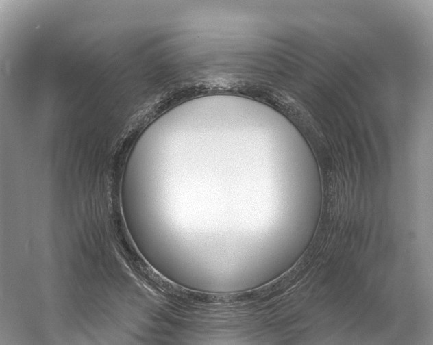 X0000061720496200512021046