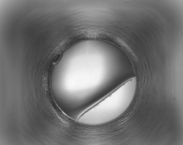 X0000061720497200512021046