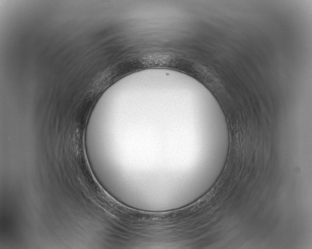 X0000061720498200512021046