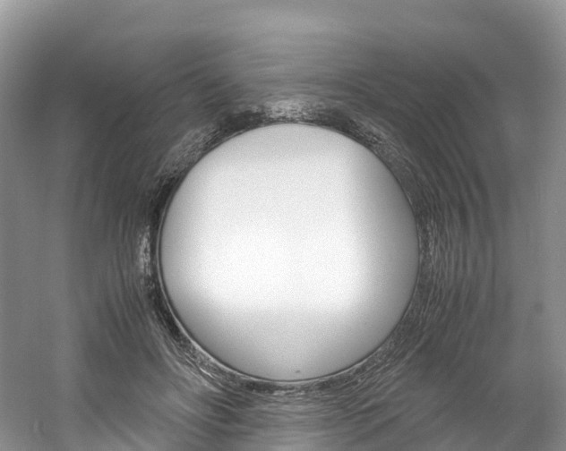 X0000061720502200512021046