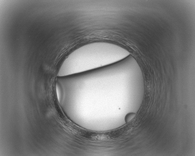 X0000061720503200512021046