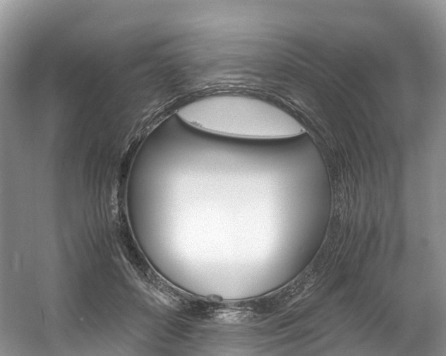 X0000061720504200512021046