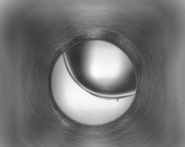 X0000061720505200512021046