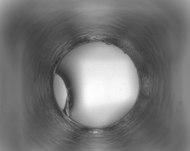 X0000061720506200512021046
