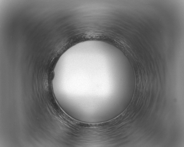 X0000061720508200512021046