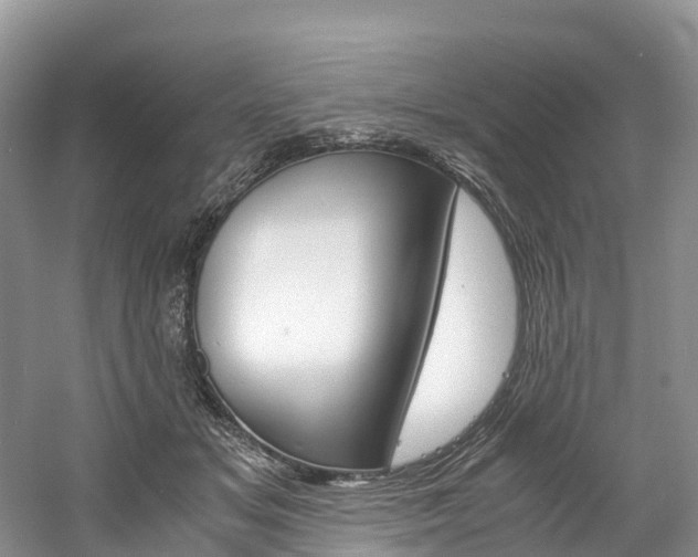 X0000061720509200512021046