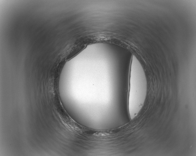 X0000061720512200512021046