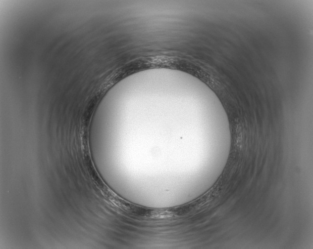 X0000061720514200512021046