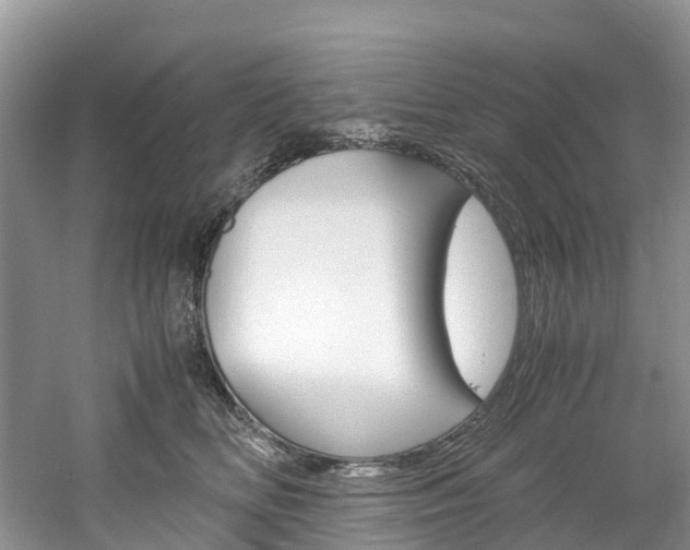 X0000061720518200512021046