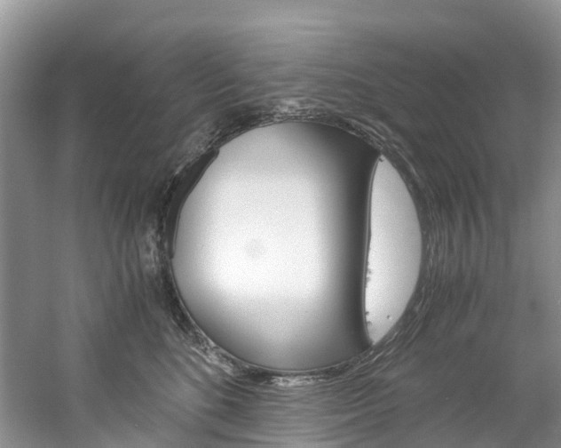 X0000061720520200512021046