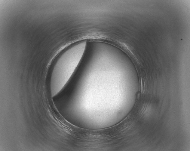 X0000061720531200512021045