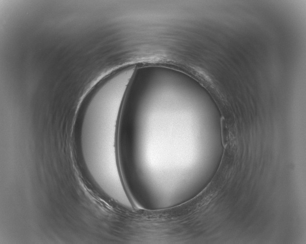 X0000061720532200512021045