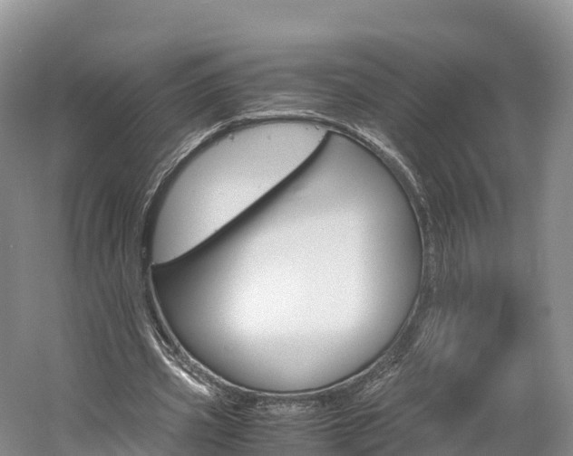 X0000061720533200512021045