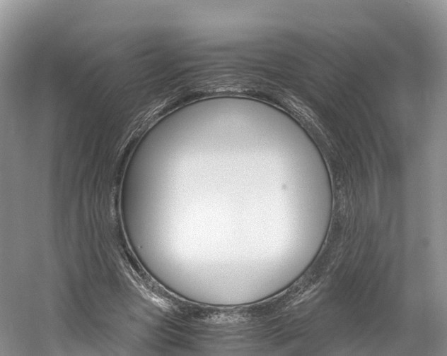 X0000061720537200512021045