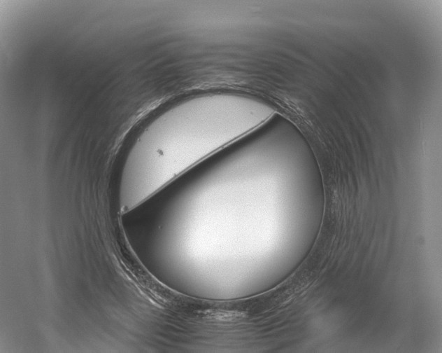 X0000061720539200512021045