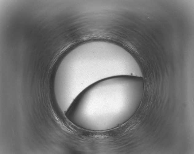 X0000061720542200512021045