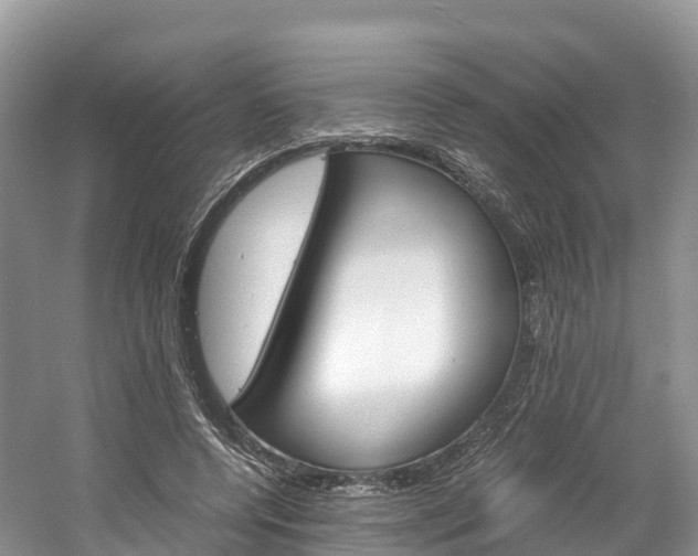 X0000061720544200512021045