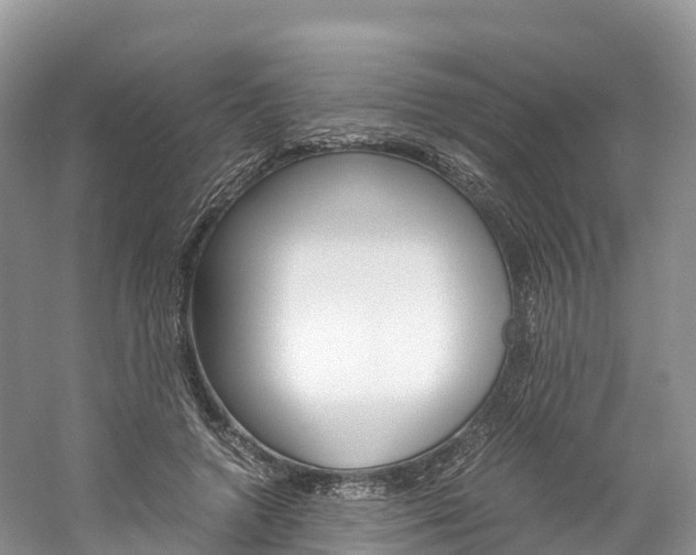 X0000061720546200512021045