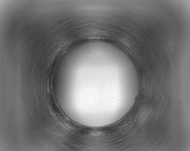 X0000061720547200512021045