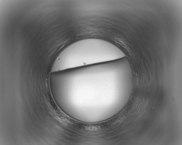 X0000061720549200512021045