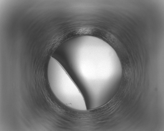 X0000061720551200512021045