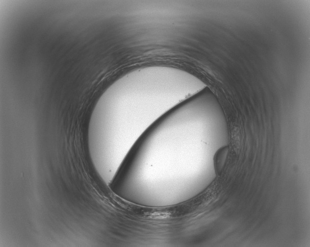 X0000061720554200512021045