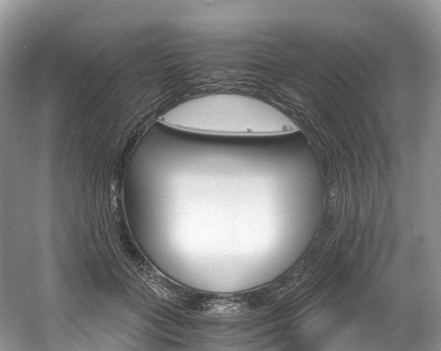X0000061720555200512021045