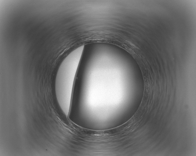 X0000061720556200512021045