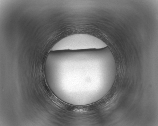 X0000061720557200512021045