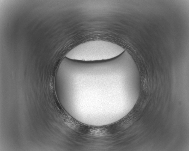 X0000061720561200512021045