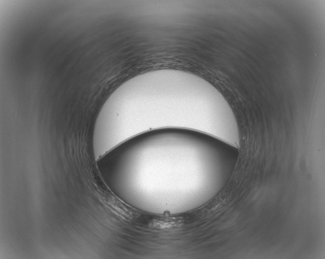 X0000061720563200512021045