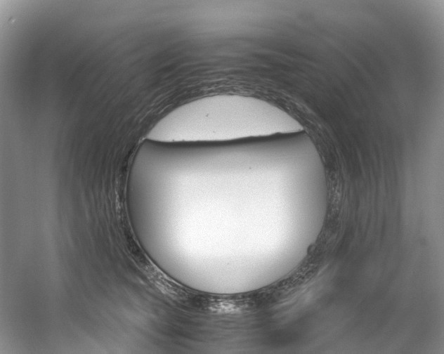 X0000061720565200512021045