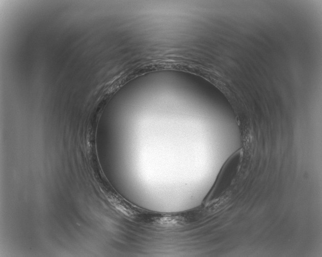 X0000061720566200512021045