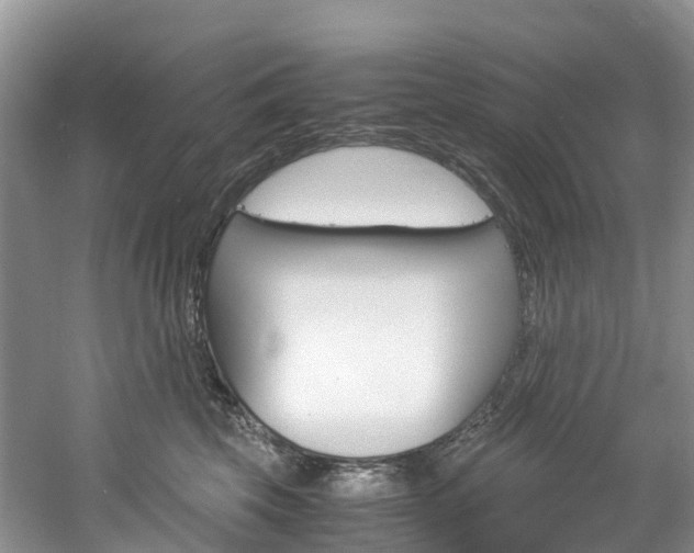 X0000061720569200512021045