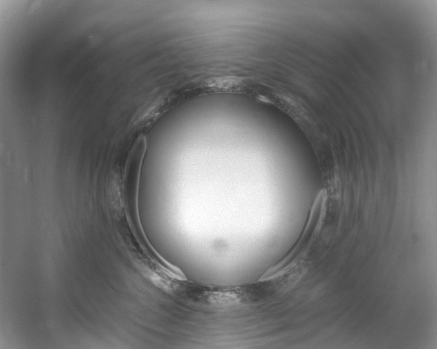 X0000061720572200512021045
