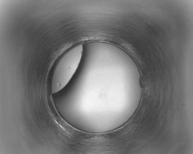 X0000061720578200512021045